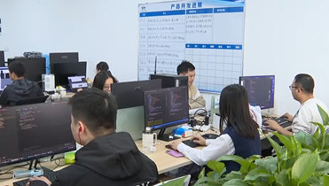 就业网页图 - 副本.png