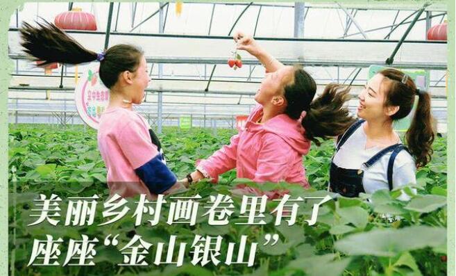 QQ截图20220606134447.jpg