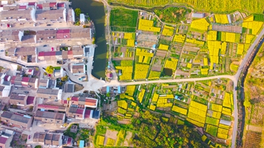 VCG211324559323_副本.jpg