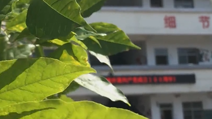 微信截图_20220629155635.png