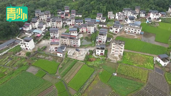 QQ截图20220728110543.png