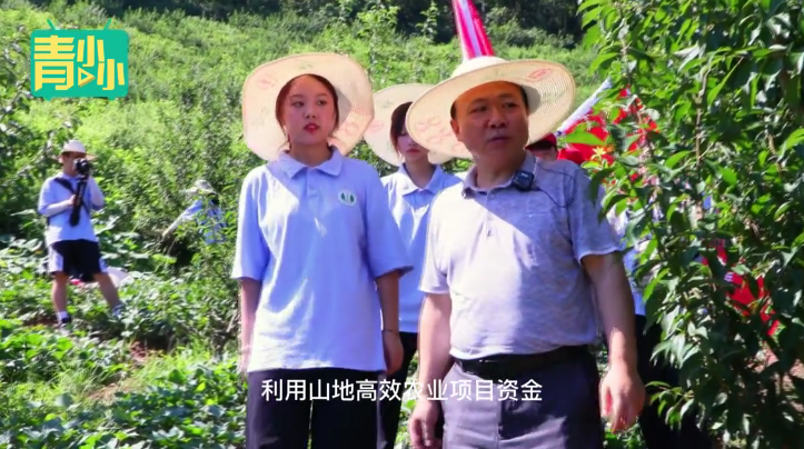 QQ截图20220811173110.png