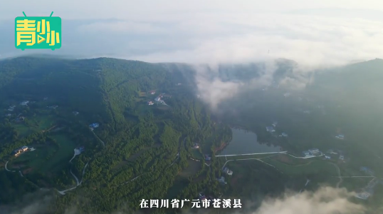 QQ截图20220816103124.png