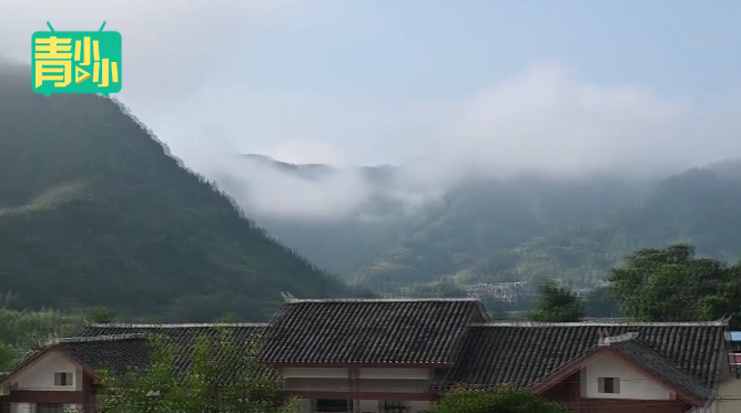 QQ截图20220824100636.png