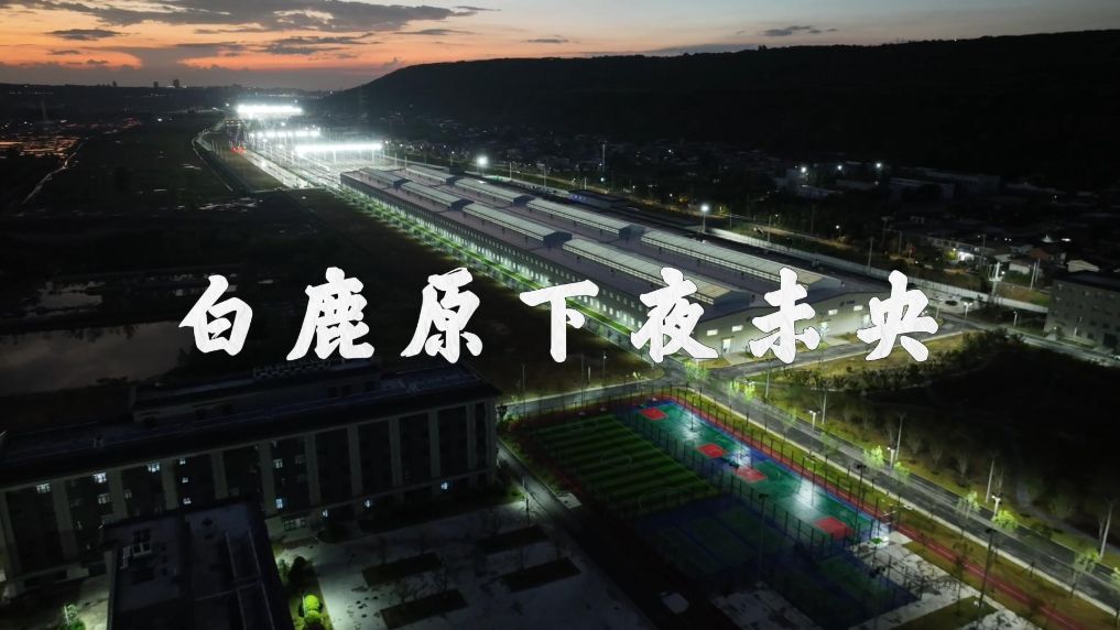 a3431225-d079-444b-bd65-8c877b081cd9.jpg
