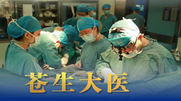 867249fd-2d64-4d8f-bc83-f71e0fd026d7_副本.png